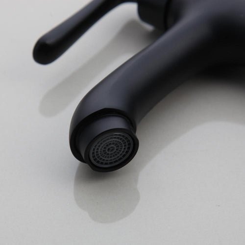 Black Metal Faucet
